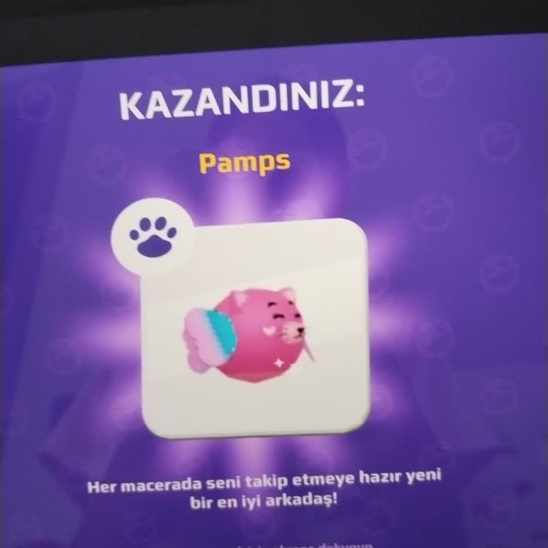 Takas İşleminde Aldığım Pet Gelmedi Ve Karşı Oyuncu Çıktı