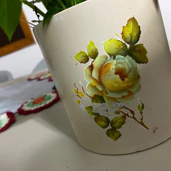 Çiçek Sepeti Renk Uyumsuzluğu ve Hasarlı Saksı Gönderildi, İade Ve Değişim Talebi