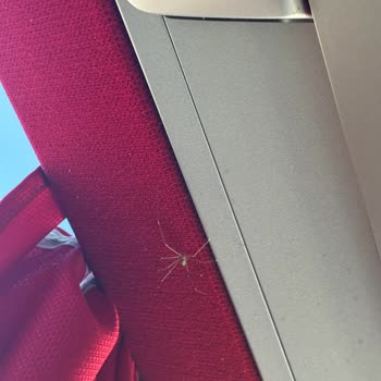 Kamil Koç Seferinde Şoförün Telefon Konuşması Ve Hijyen Sorunları Güvenliğe Tehdit