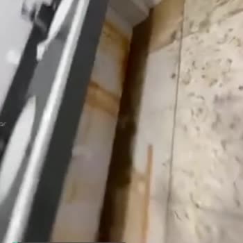 Sultanbeyli Belediyesi Sultan Korusu Lavabolarının Hali!