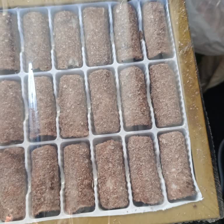 Stokta Bayat Konya Sarması Satışı Sağlık Riski Yaratıyor