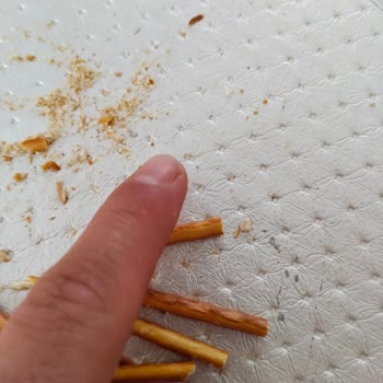 Eti Crax Krakerinde Kıl Bulunduğu Hijyen Endişesi