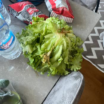 Getir Market Siparişimin Neredeyse Yarısı Hiç Teslim Edilmedi