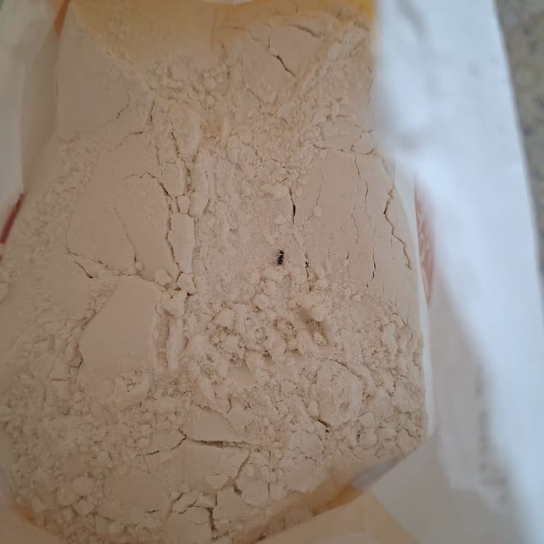 Migros’ta Böcekli Un Teslimatı Gıda Güvenliğini Tehlikeye Attı