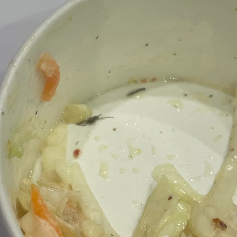 Doyuyo Şubesinde Coleslaw’da Sinek Ve Kan Görülmesi, Cevapsız Tutumu