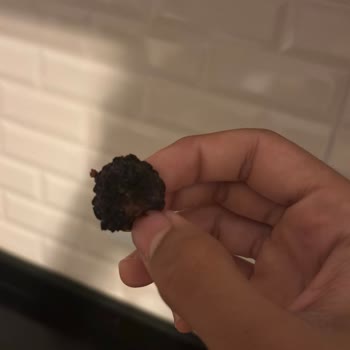 Pol’s Freeze Fresh Berry Mix’te Bozuk Böğürtlen Tadı Ve Güven Kaybı