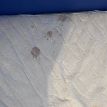 Temizlik Problemleri Ve Çözüm Yoksunluğu Nedeniyle Ücret İadesi Talebi