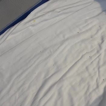 Temizlik Problemleri Ve Çözüm Yoksunluğu Nedeniyle Ücret İadesi Talebi