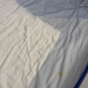 Temizlik Problemleri Ve Çözüm Yoksunluğu Nedeniyle Ücret İadesi Talebi