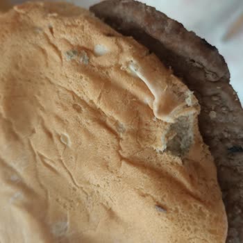 Malatya Park Burger King Şubesinde Küflü Hamburger Ekmeği Satışı