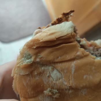 Malatya Park Burger King Şubesinde Küflü Hamburger Ekmeği Satışı