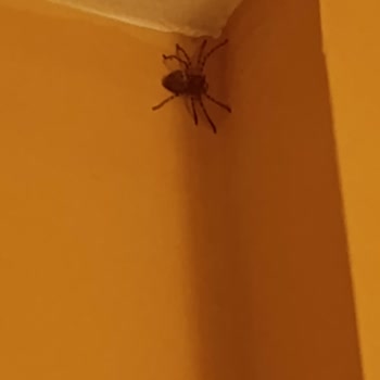 Tatilbudur'un Otel Değişikliği Sonrası Hijyen Sorunları Ve Aile Mağduriyeti