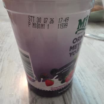 Şok Marketler Yoğurtta Küf Olması