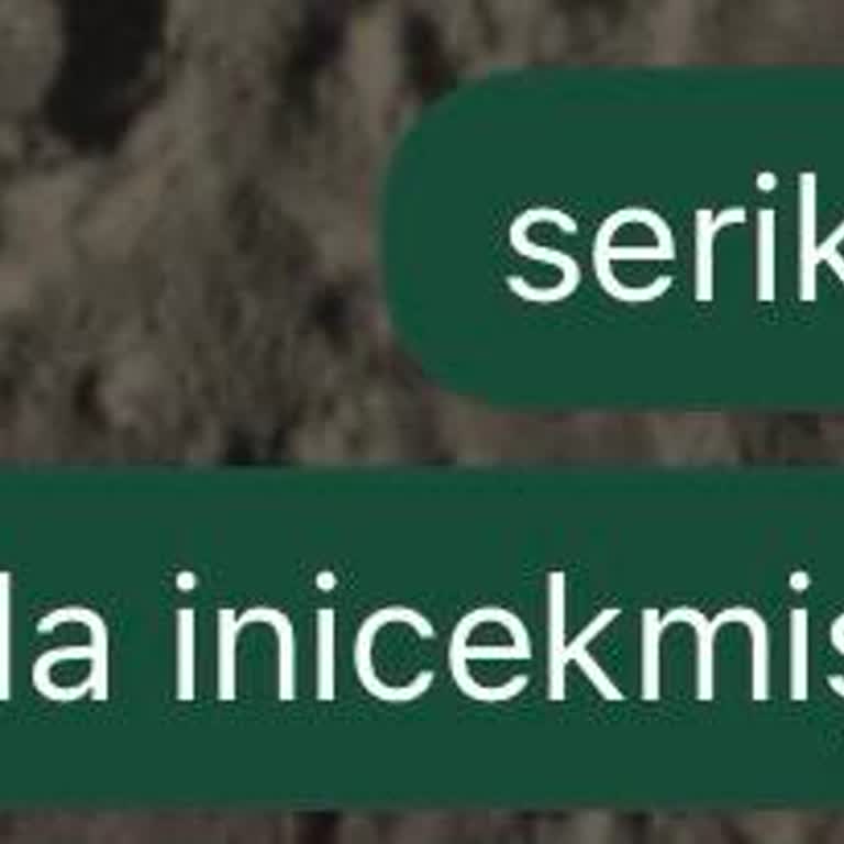Tek Seferde Üç Otobüs Değiştirilmesi Ve 1,5 Saat Gecikme