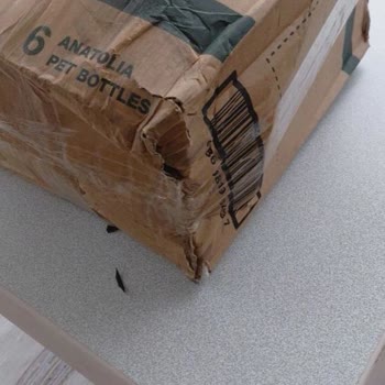 Ferisa Home Kutu Hasarlıydı, Paketleme Son Derece Yetersizdi
