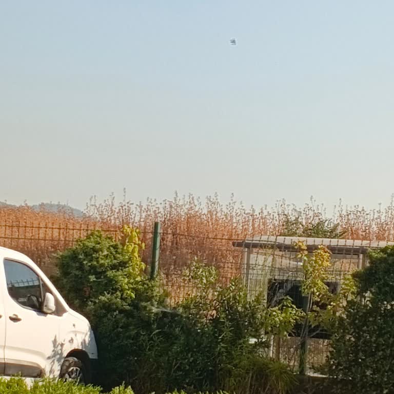 Teknosa Mağazasındaki Telefonun Kamera Ve Ses Sorunları