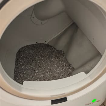 Xenon Smart Kedi Tuvaleti Matı Sürekli Düşüyor, Ürün Değişimi Talebi