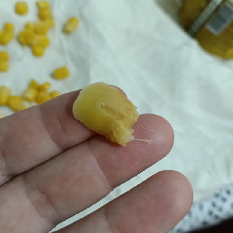 Tukaş Konserve Mısırda Odun Parçası Keşfedildi