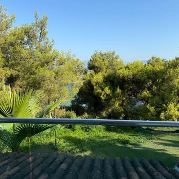 Pine Bay Holiday Resort Yanıltıcı Deniz Manzarası, Erken Giriş Sorunu Ve Hijyen Aksaklıkları