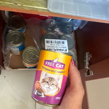 Şok Marketler Free Kat Mama Hüsranı!