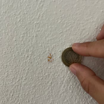 Tarihi Geçmiş Jotun Boyası İç Zırh Bozulması Ve Cevapsız Müşteri Hizmeti
