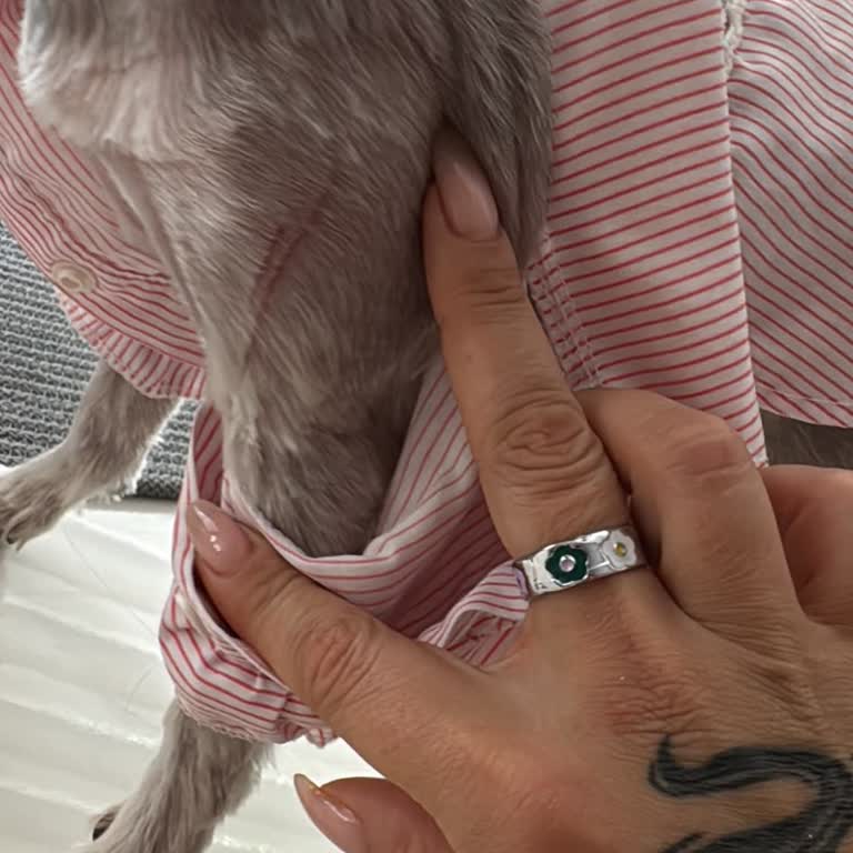 Nurcan Okutan Pet Kuaför Köpeğimi Bakım İçin Götürdüm Zarar Verdiler