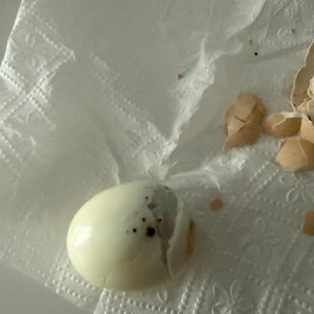 Peynirci Baba’dan Küflü Ve Siyah Yumurta Satışı