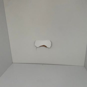 Ekşioğlu Nakliyat (Ankara) Eşyalarımın Hepsine Zarar Verdi