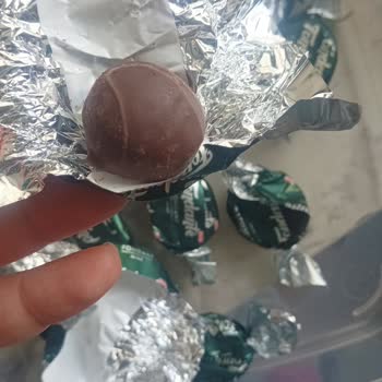 Elvan Fondant Mint İçinde Kurt Görülmesi Sağlık Endişesi