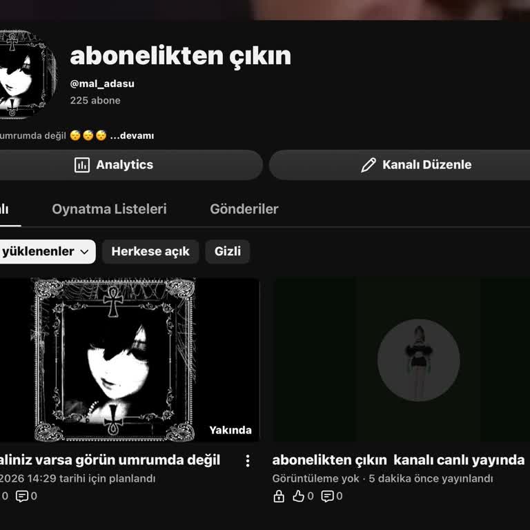 İzinsiz Giriş Ve Youtube Hesabımın Kontrolünün Geri Alınması