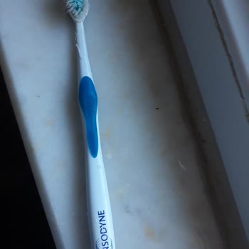 Sensodyne Dil Temizleyici Diş Fırçası Kısa Sürede Deforme Olup İşlevsiz Hale Geldi