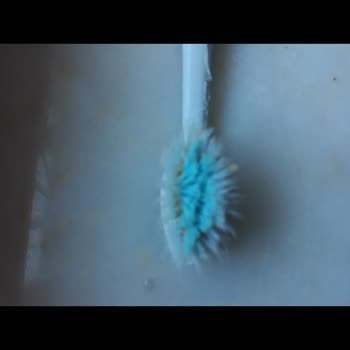 Sensodyne Dil Temizleyici Diş Fırçası Kısa Sürede Deforme Olup İşlevsiz Hale Geldi