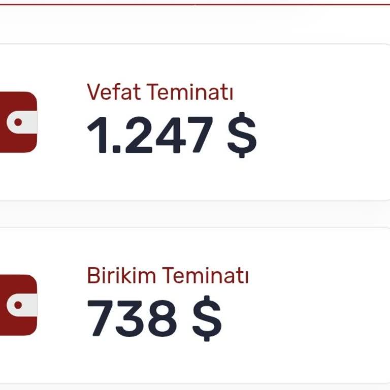 Prim Ödediğim Kadar Birikim Gelmeyen Ve Vefat Teminatı Yetersiz Dövize Endeksli Sigorta