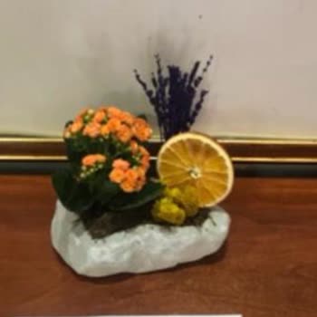 Taze Çiçek'ten Görseliyle Uyuşmayan Kalanchoe Siparişi İçin Tam İade
