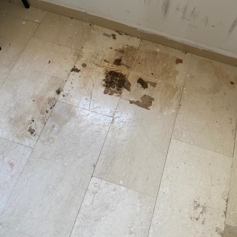 Şanlıurfa Aşık TOKİ 09 Bloğunda Sıcak Su Yokluğu Ve Temizlik İhmaline Şikayet