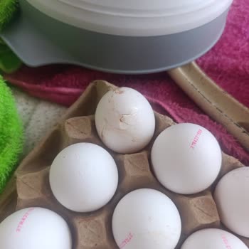 Türem Yumurta L Boy Olarak Aldığım Paketin İçinden S Ve M Boyutlarında Yumurtalar Çıkması