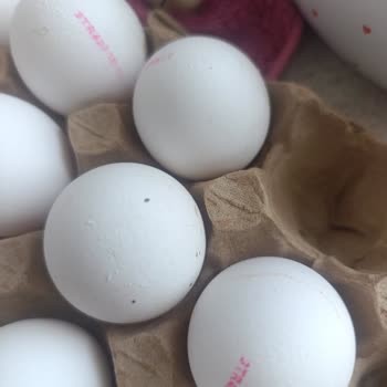 Türem Yumurta L Boy Olarak Aldığım Paketin İçinden S Ve M Boyutlarında Yumurtalar Çıkması