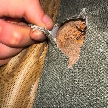 Garanti Kapsamındaki Koltuk Kırılmasında Kullanıcı Hatası İddiası Ve Ücretli Tamir Teklifi