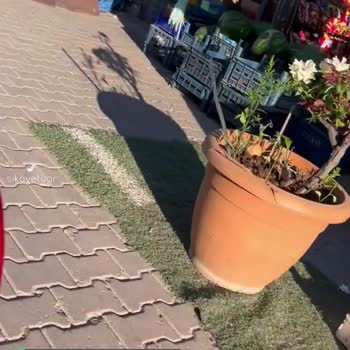 Aras Kargo Harput Şubesinin Dağıtım Ve Kurye Sorunu!
