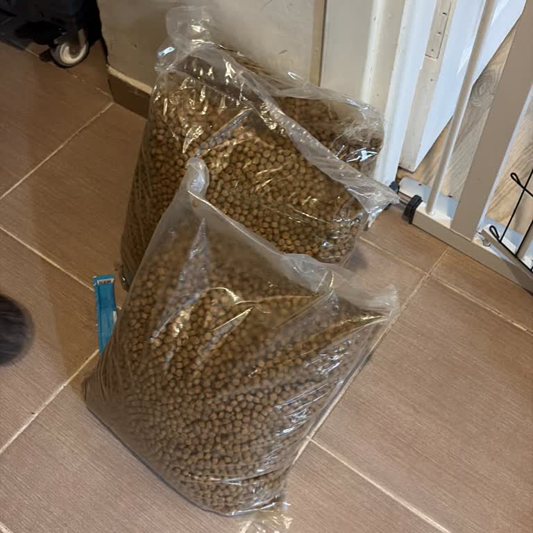 Geciken Teslimat Ve Açık Pakette Yanlış Kedi Maması Gönderimi