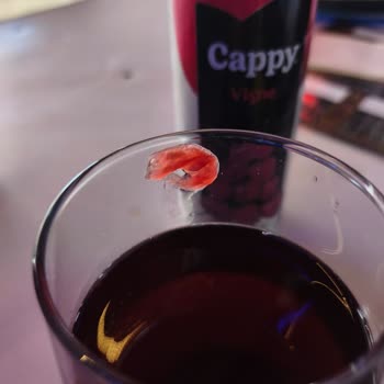 Cappy Vişne Meyve Suyu Kutularında Yabancı Cisim Sorunu İşletme İtibarını Zedeliyor