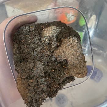 Doğuş Çay’da Hijyen Dışı Madde Bulunması Ve İade Talebi
