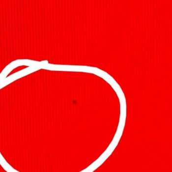 Monitörde Çift Ölü Piksel Ve Satıcıdan Cevapsız İade Politikası