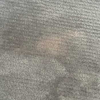 Yeni Halımda Renkli Leke, Şirketin Sorumluluk Reddi