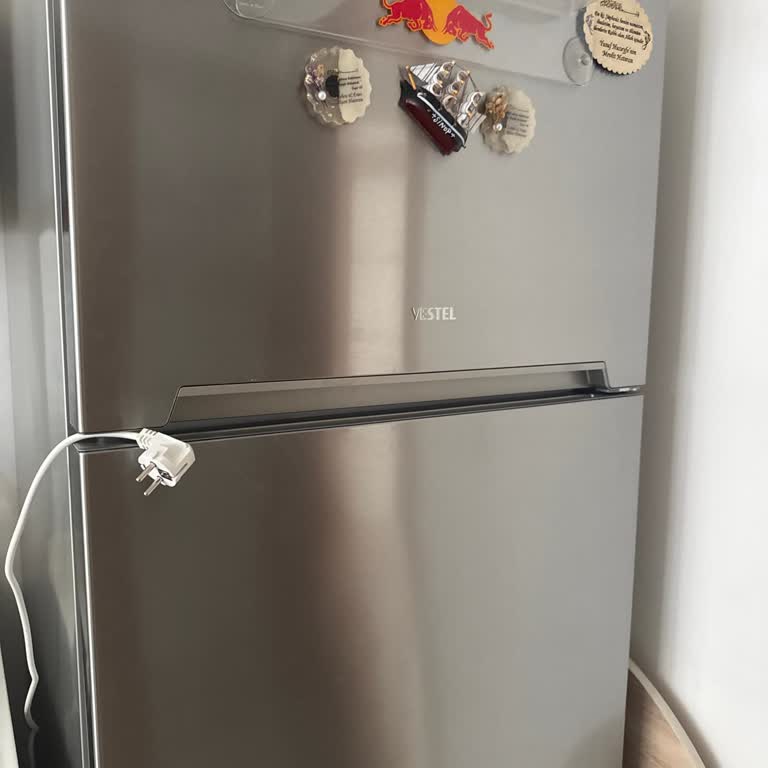 Vestel Buzdolabımın Çözülmeyen Arızası Ve Gıdalarımın Bozulma Riski, Geçici Buzdolabı Talebim