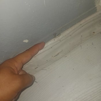 ACİL! Vestel Hem Evimi Su Basmasına Sebep Oldu Hem De 20 Gündür Sıfır Ürünümü Göndermiyor!'