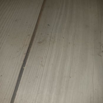 ACİL! Vestel Hem Evimi Su Basmasına Sebep Oldu Hem De 20 Gündür Sıfır Ürünümü Göndermiyor!'