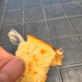 Ekmeğin İçinde Plastik Parça Bulunması Gıda Güvenliğini Tehlikeye Atıyor