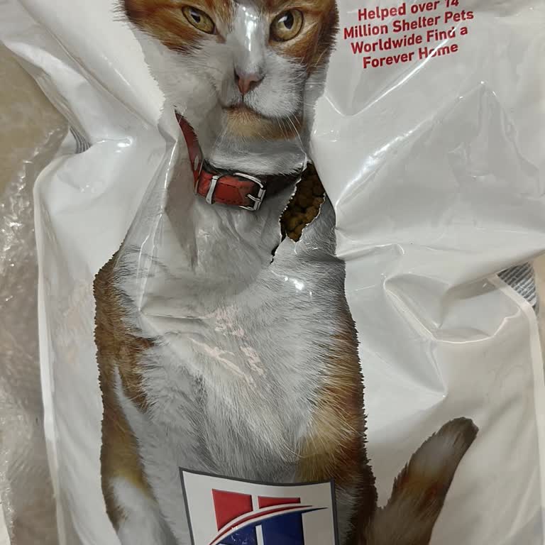Patlamış Ve Dökülen Kedi Maması Paketi: İade Ya Da Ücretsiz Yeniden Gönderim Talebi