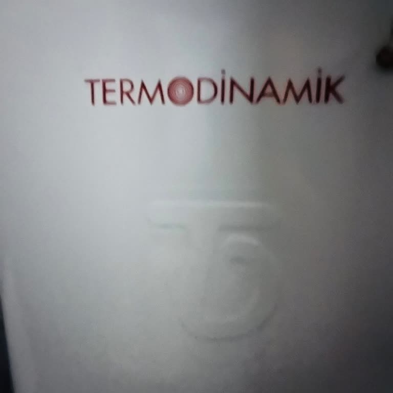 Termodinamik Isıtma Sistemleri Servis Personelinin Yaklaşımı Son Derece Soğuk, İlgisiz